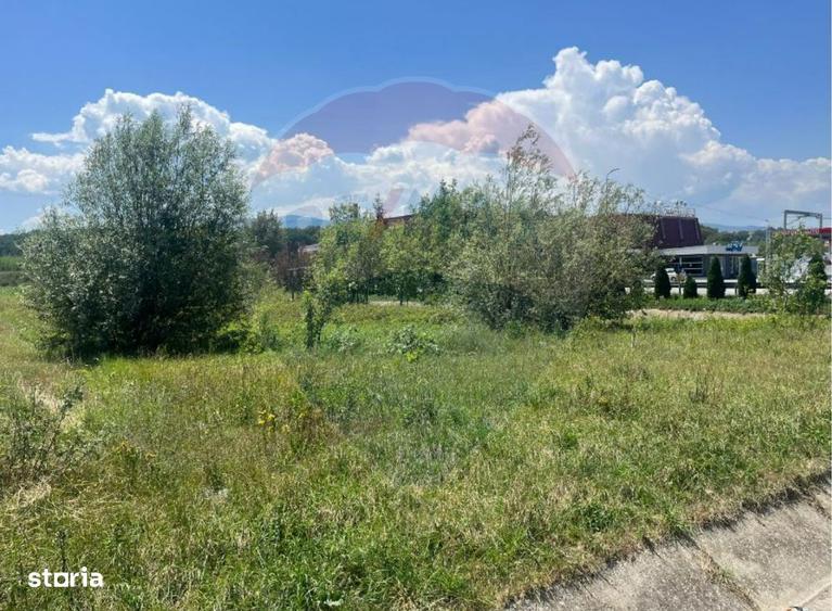 Teren pentru Dezvoltare 14.800 mp -Vestem - 3