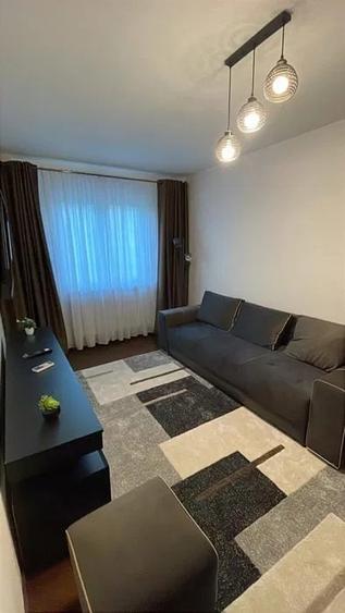 Apartament cu 2 camere, PET FRIENDLY, zona Podu Ros - 4