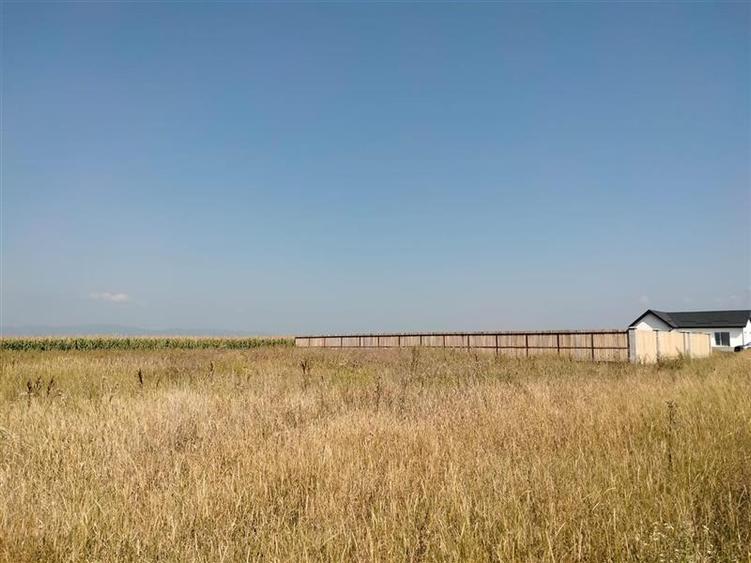 Teren intravilan la intrare in Bod dinspre Sanpetru - 4