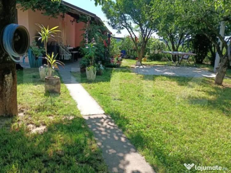 Teren 10 arii extravilan zona Careiului - 1