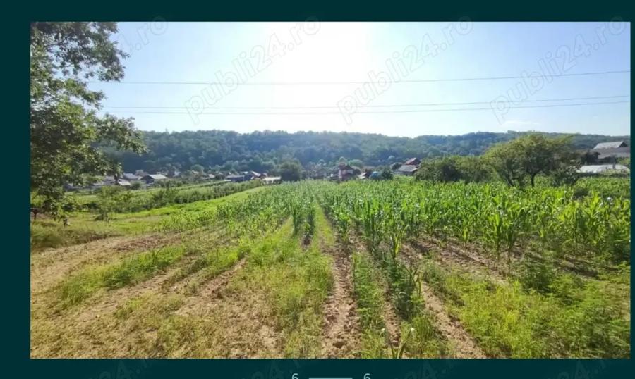 Teren ?i casa de vanzare in ?icleni, sat Tun?i - 4