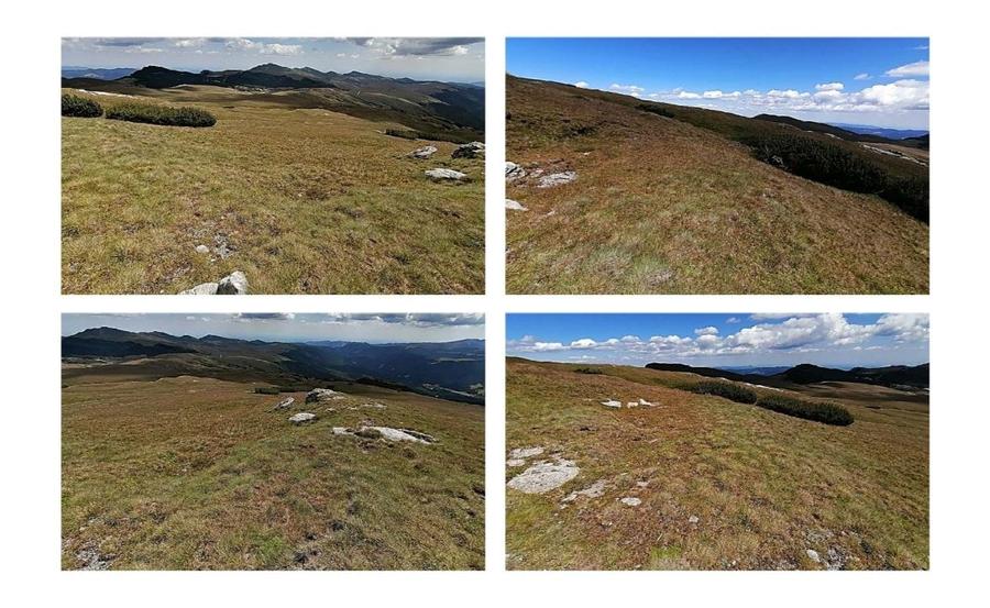 Bucegi zona alpina Ski Resort Padina Pestera - 8