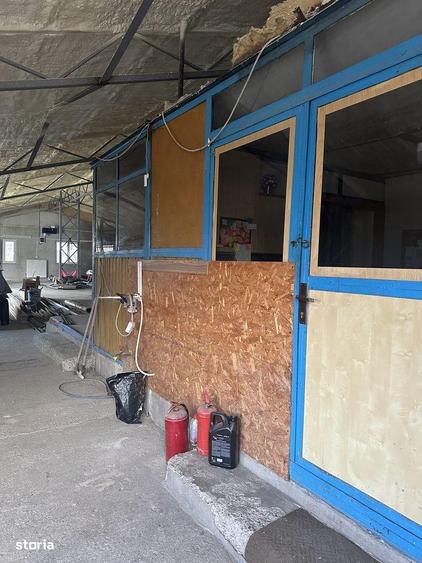 Campina - hala - 400mp - 130000 Euro + TVA Neg. - 4