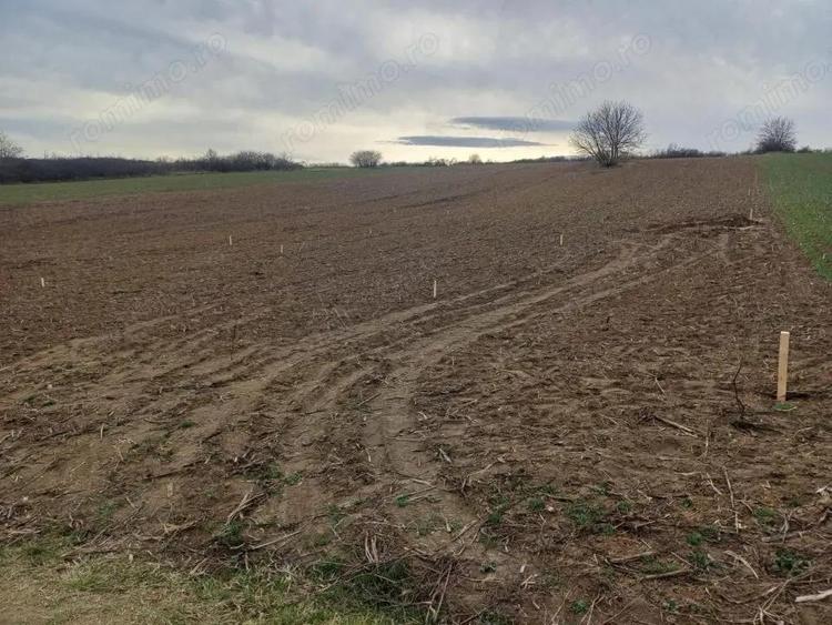 Teren intravilan,433mp, 21.6m deschidere,la 1.5km de gara lunca cetatuii - 1