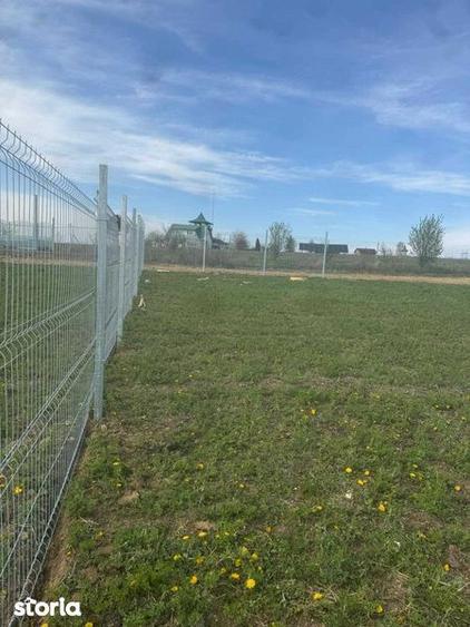 PROPRIETAR Teren langa satul Bungard - 6