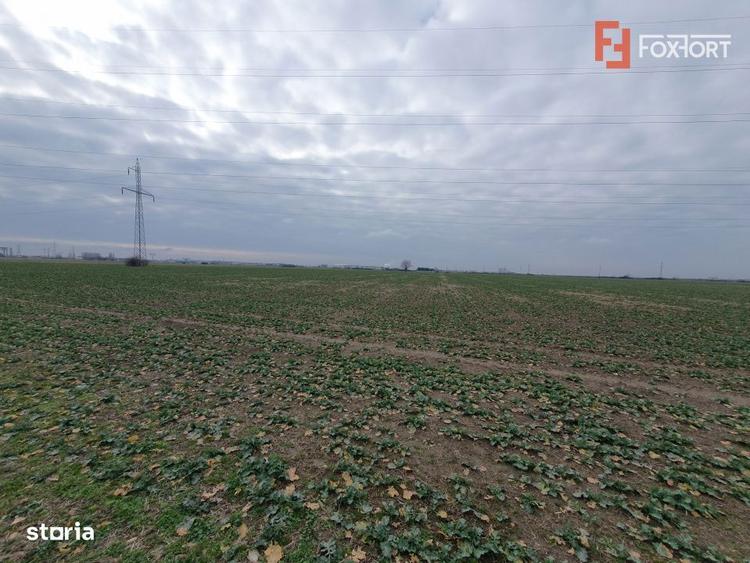 Teren extravilan pretabil constructii industriale - zona Calea Sagului - 3