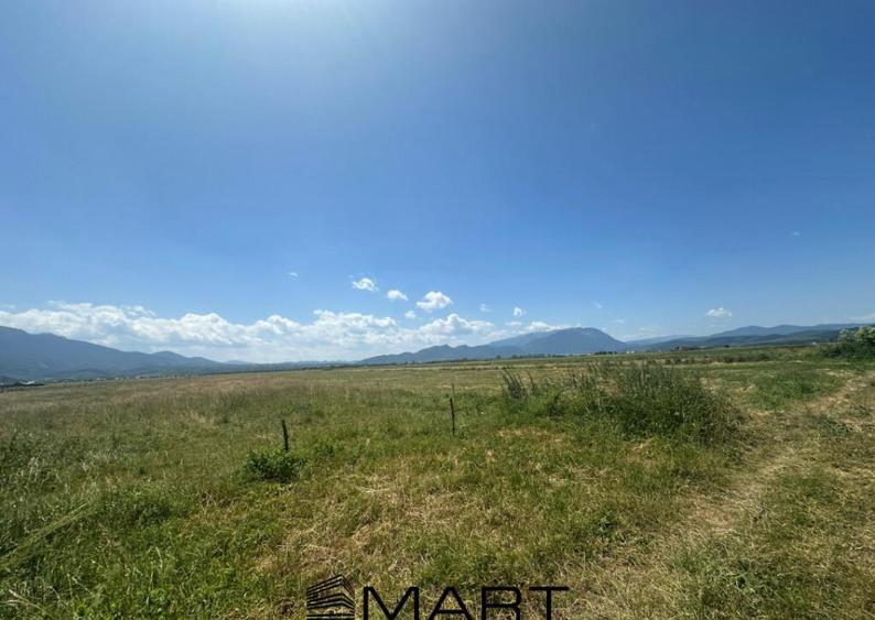 Teren Intravilan Rasnov 7.500 mp - 7