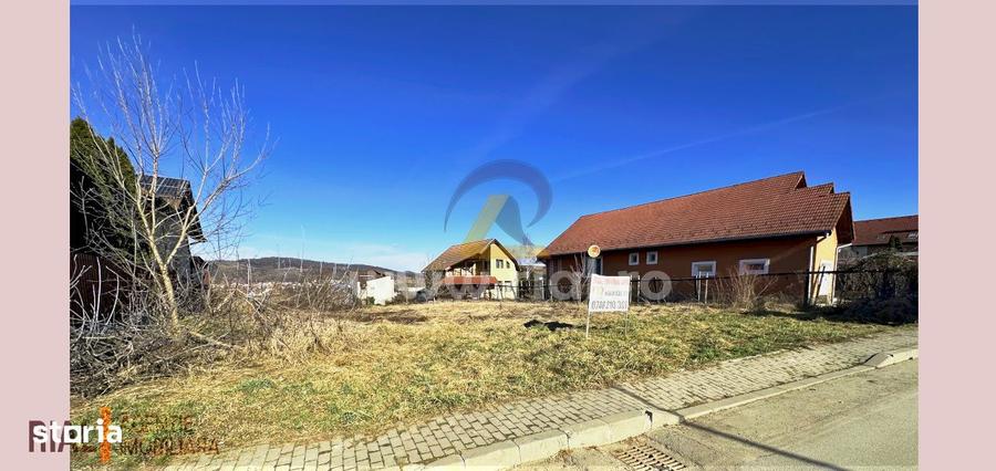 Teren intravilan in zona BinderBubi 2.500 mp - 3