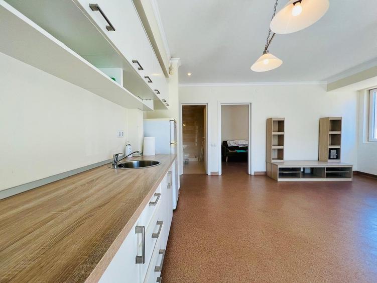 Inchiriere Apartament 2 Camere Iancu Nicolae - 4