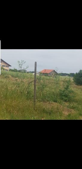 Teren Construcții intravilan de 1863 mp, în Lazu