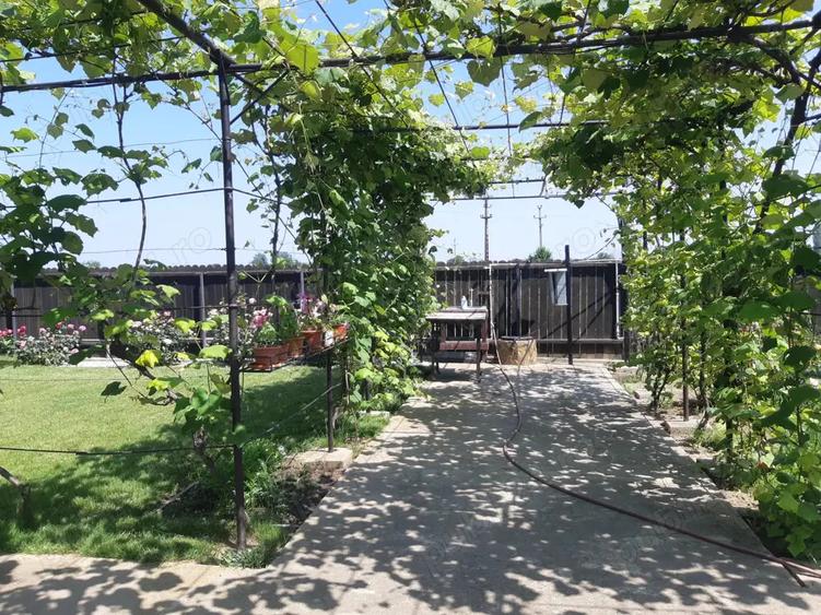 Casa de vanzare parter plus mansarda - 9