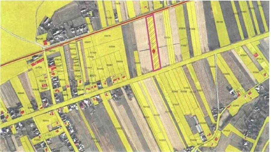 Teren 1 hectar la DN 15B -Deschidere 39 ml - Investitie Comerciala - 1