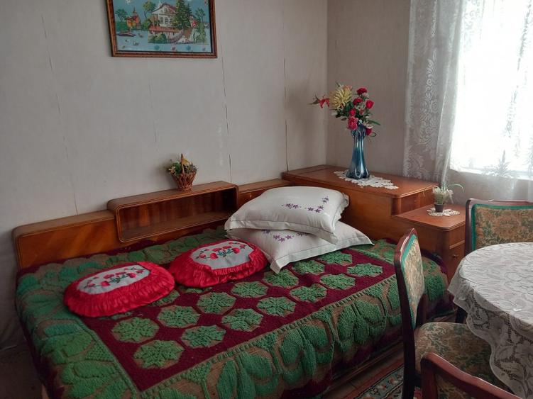 Casă de vânzare - jud. Buzău, Sat Lanurile, com. Ziduri - 16