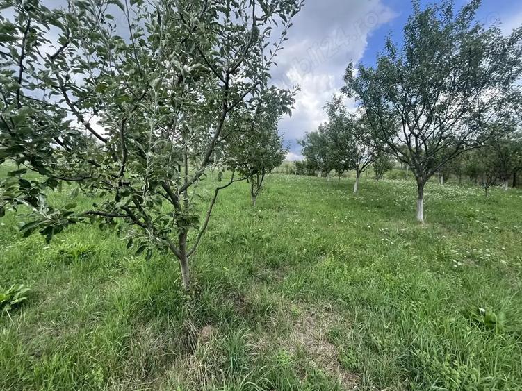 Vand casa construc?ie noua - 5