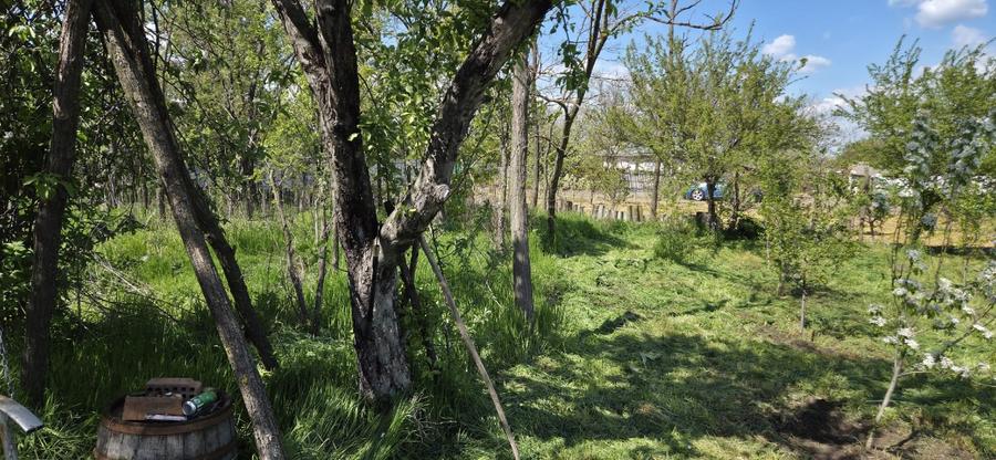 Vand proprietate   - 7