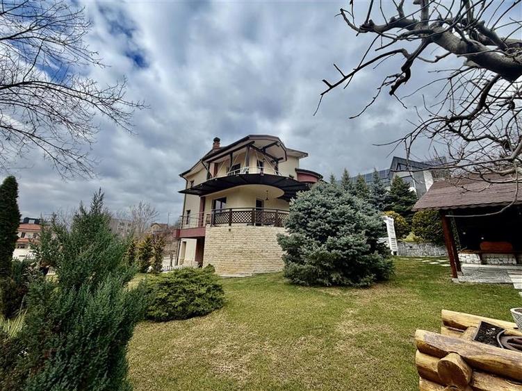 Casa vile de vânzare Buciuim-iasi - 9