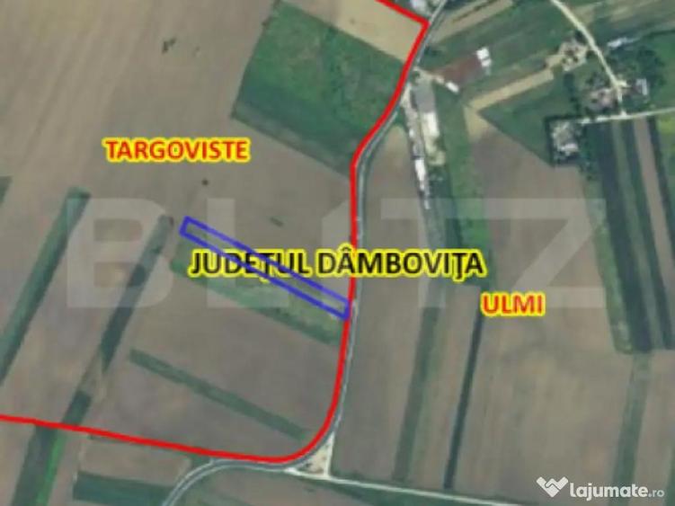 Teren extravilan, 4.994 mp, Targoviste - 5