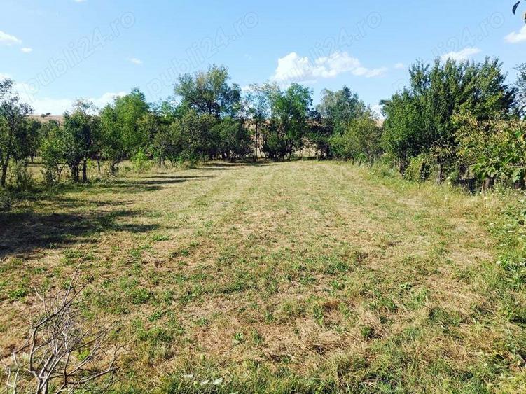 Casa de vanzare sat Tes jud Timis - 5