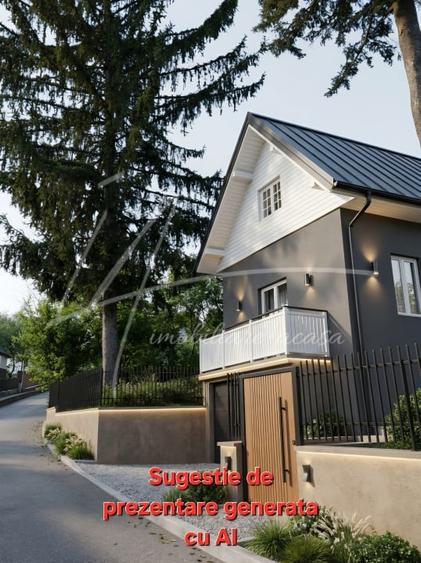 Teren intravilan 1740 mp. cu casa intabulata in PH-PROVITA DE SUS - 51