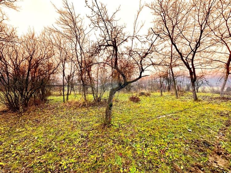 DE VANZARE LOCATIE SUPERBA - 2