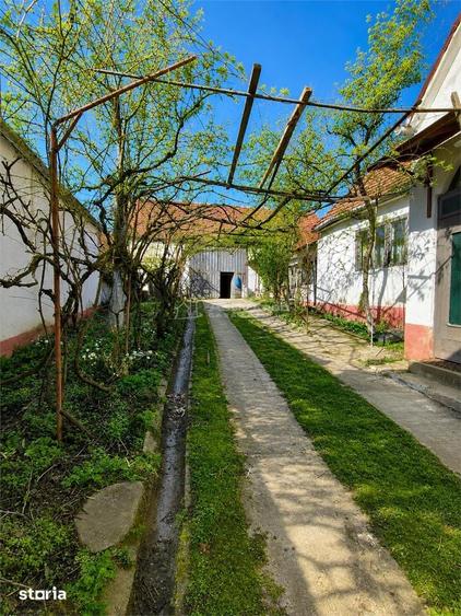 Casa generoasa de vanzare la tara - 12
