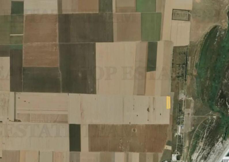 Teren extravilan 5000 mp Corbu, cu deschidere pe 3 laturi - 6