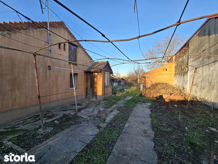 Fratelia- Casa si teren- 1438 mp - 15