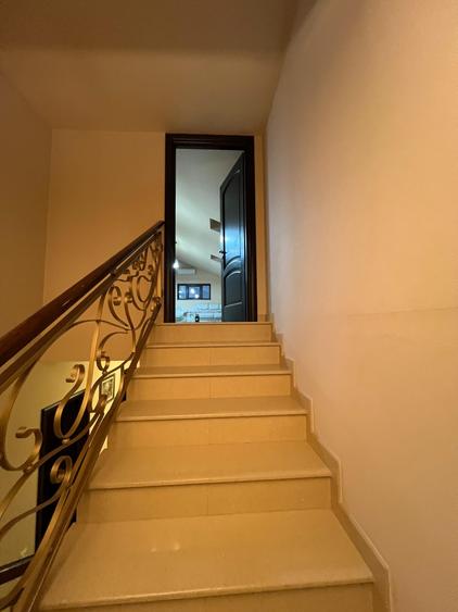 Vanzare Casa/Villa 6 camere 3 bai 3 wc -uri Dobroiesti 0% Comision - 38