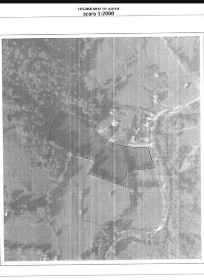Vindem 17940 mp Salatruc - Vama - Bucovina - 1