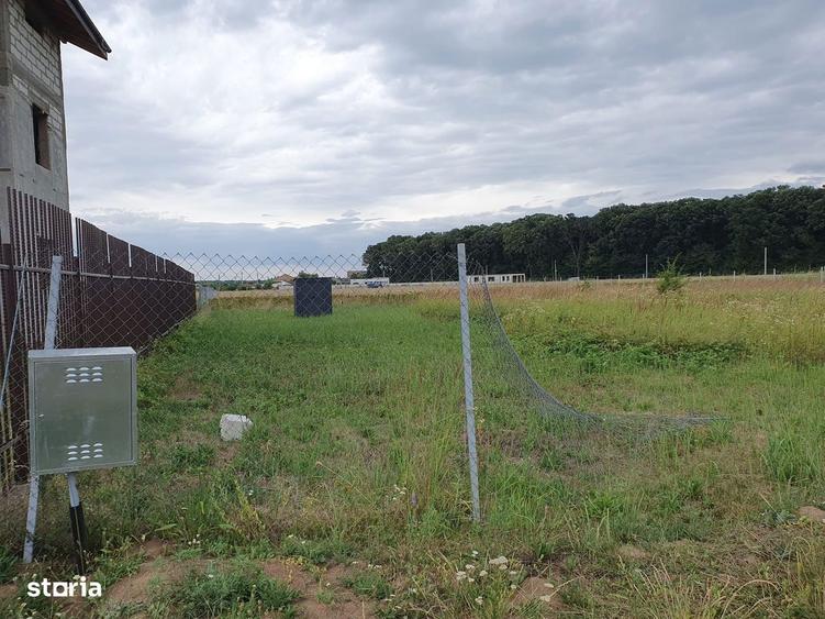 Teren 1500 mp Ghermanesti in proximitatea padurii str Nicopole - 7