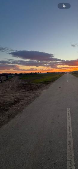 Teren de vanzare in com Dascalu - 1