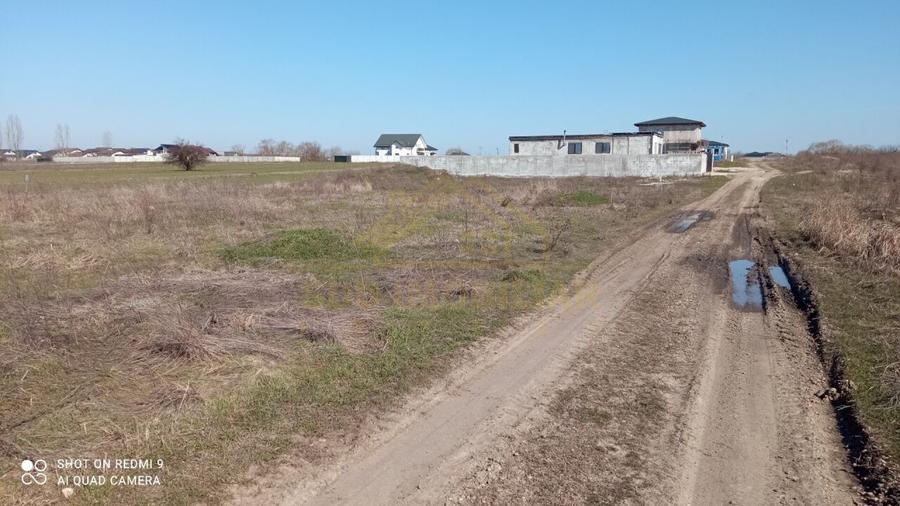 Teren  intravilan 465mp Str Lebedelor Comuna Berceni - 5