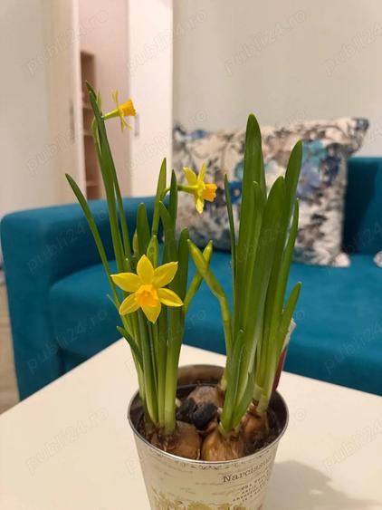 Prima inchiriere - 2 camere petfriendly langa Parcul Drumul Taberei - 6