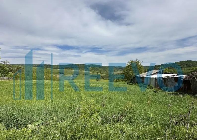 Teren de vanzare, Sat Valea Mare, Com. Ro?iori, Bacau - 2