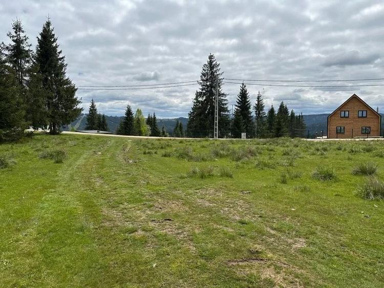 Teren drept de 1342 mp cu front 24 m Belis - 1