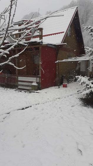 Teren intravilan casa - 4