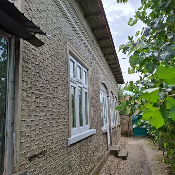 Vand Casa cu curte 851 mp 15 minute de Alexandria - 6