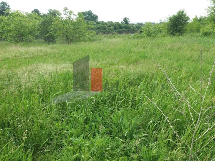 Teren Buftea cu iesire la lac - 15