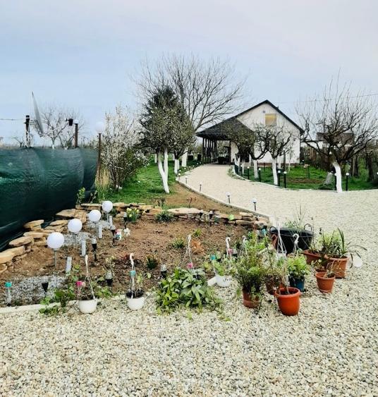 Casă și teren intravilan pentru investiții - 3