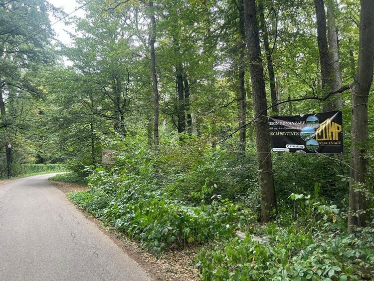 Teren de Vis pe malul lacului Snagov / 4000 mp in inima Naturii /40 m deschidere - 4