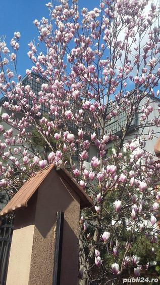 Izbiceni-Damaroaia-Casa Presei,P+E+M,zona verde,aerisita,casa luminoasa,6 camere - 10