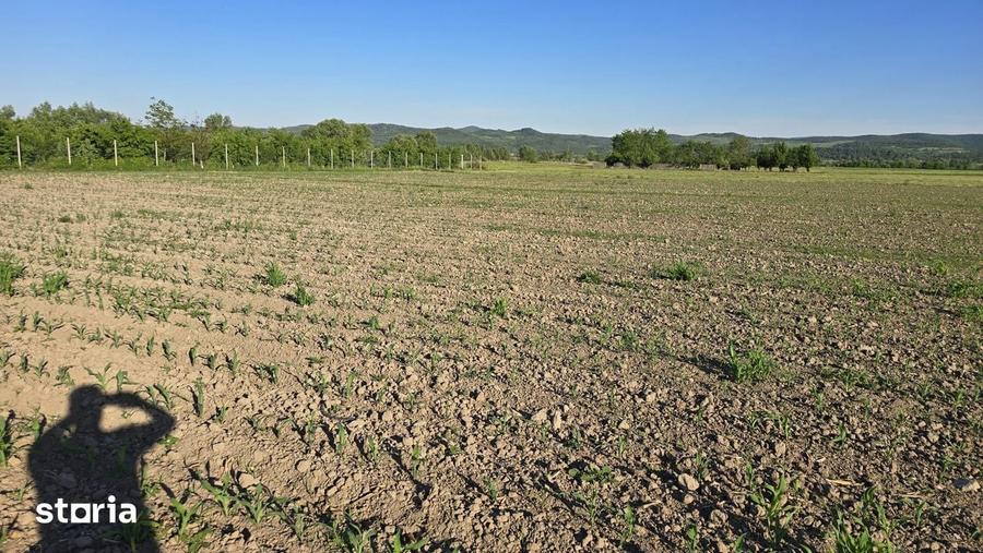 Parcele teren intravilan in Ciceu Mihaiesti - 2900 mp si 2495 mp - 3