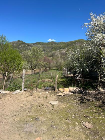 Casa de vanzare in comuna corbeni ideala pentru pensiune sau casa de vacanta BRD and breakfast - 1