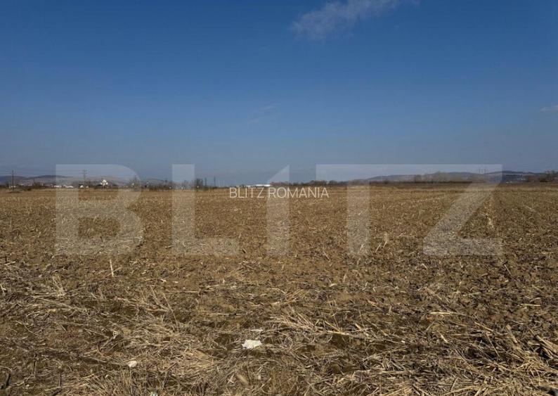 Teren intravilan, 2900 mp, zona Soseaua de centura Teren intravilan, 2900 mp, zona Soseaua de centura