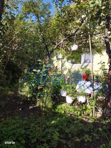 Casa individuala , cu 477 mp Dambu Rotund , Cluj - 6