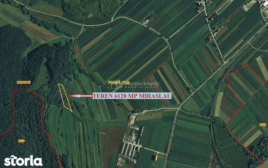 faneata Miraslau sub padure, panorama asupra satului si vaii Muresului - 8