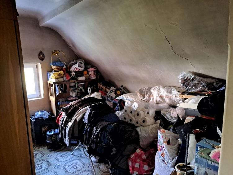 Cotroceni-Parcul Romniceanu, singur curte, garaj, curte generoasa - 7