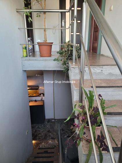 Vanzare proprietate cu 2 case Zurbaua- Dragomiresti Vale - 18