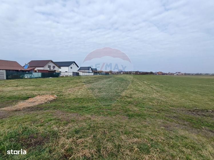 Teren de vanzare 1600 mp Sura Mica - 1