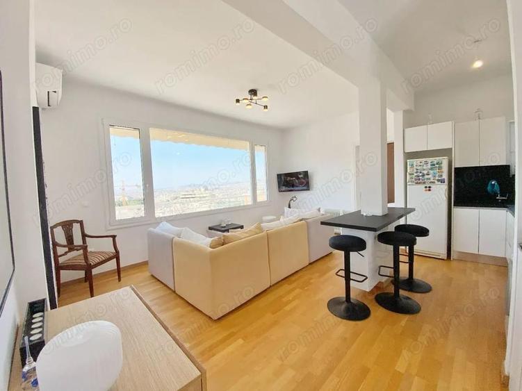 Spatiu comercial de inchiriat in zona Grozavesti - 1